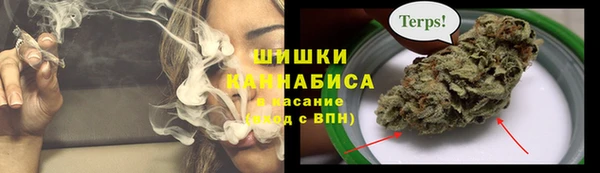 сатива Алзамай