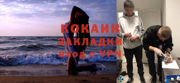сатива Алзамай