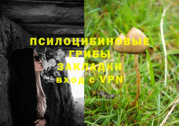 сатива Алзамай