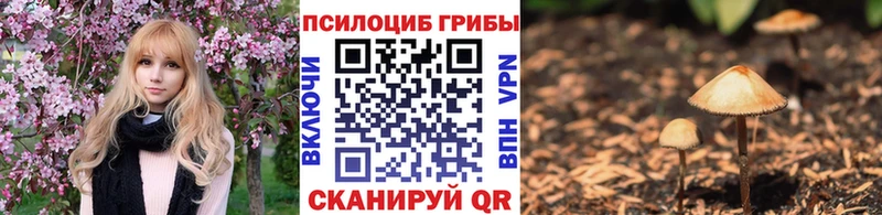 Псилоцибиновые грибы мухоморы Ахтубинск
