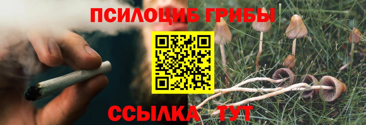Псилоцибиновые грибы Psilocybine cubensis  Галлюциногенные грибы ЛСД  Ахтубинск  Вход с VPN 