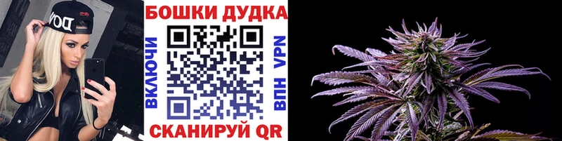 Шишки марихуана план  Ахтубинск 